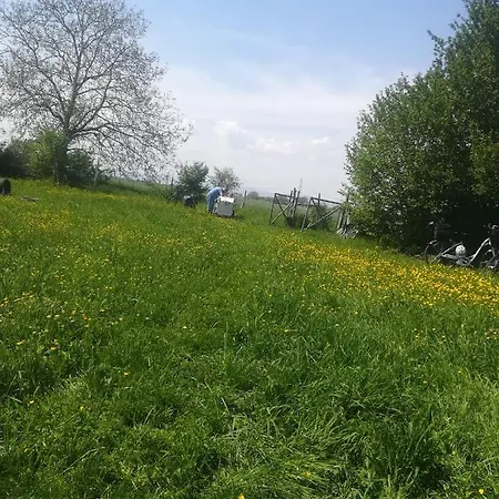 Brauhaus Fröschl Jockgrim