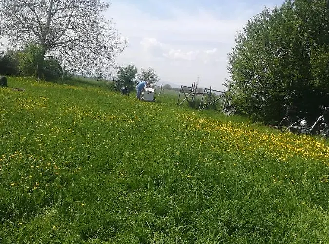 Brauhaus Froeschl Jockgrim